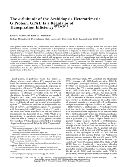 The a-Subunit of the Arabidopsis Heterotrimeric G