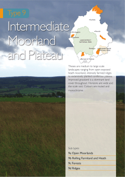 Intermediate Moorland and Plateau