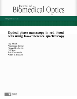 Optical phase nanoscopy in red blood cells using low