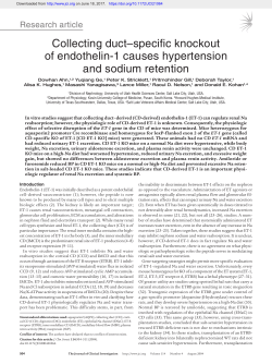 Collecting duct&ndash;specific knockout of endothelin