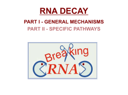 RNA DECAY