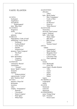 vaste planten - Tuincentrum Princenbosch
