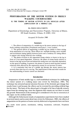 perturbation of the motor system in freely walking cockroaches