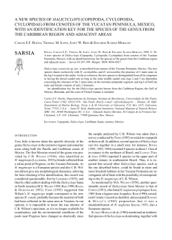 sarsia - pesce`s home page