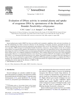 Evaluation of DNase activity in seminal plasma and - inct-TA