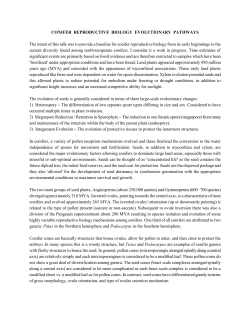 CONIFER REPRODUCTIVE BIOLOGY EVOLUTIONARY