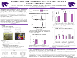 differential rearing environment effects on impulsive action and