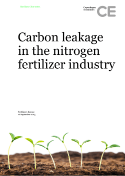 Carbon leakage in the nitrogen fertilizer industry