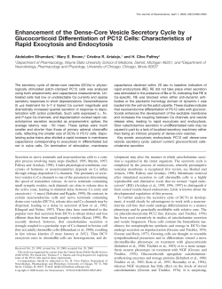 Enhancement of the Dense-Core Vesicle