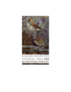 Ragged Mountain Natural Area 2016 ECOSYSTEM SURVEY