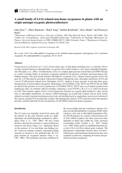 A small family of LLS1-related non-heme oxygenases in plants with