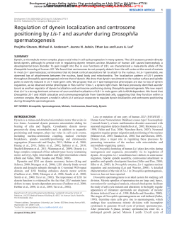 Lis-1 - Development - The Company of Biologists