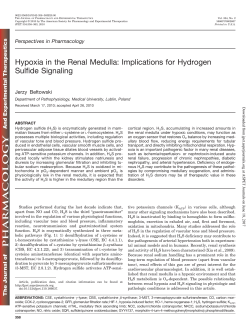 Hypoxia in the Renal Medulla - Journal of Pharmacology and