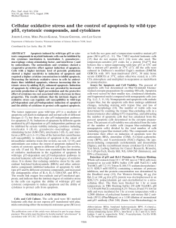 Cellular oxidative stress and the control of apoptosis by wild