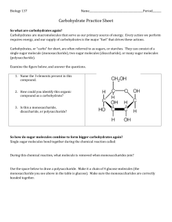 Carbohydrate Practice Sheet