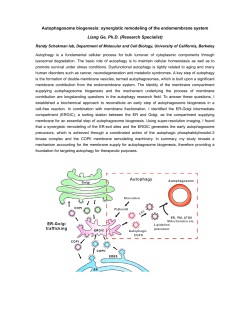 synergistic remodeling of the endomembrane system Liang Ge, Ph.D.
