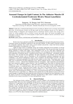 Seasonal Changes In Lipid Content, In The Adductor