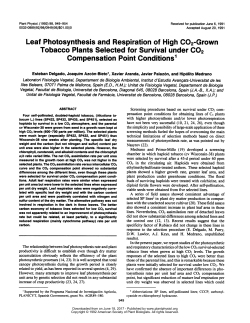 Leaf Photosynthesis and Respiration of High CO2
