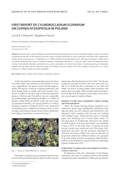 first report of cylindrocladium scoparium on cuphea hyssopifolia in