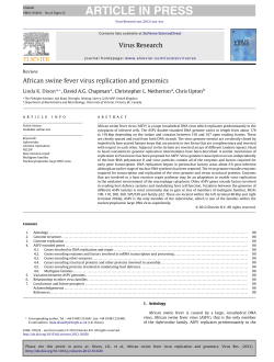 African swine fever virus replication and genomics