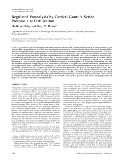 Regulated Proteolysis by Cortical Granule