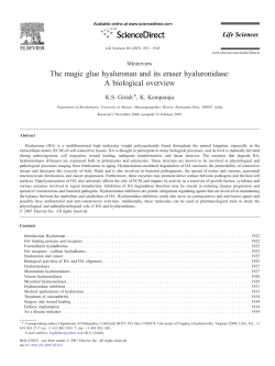 The magic glue hyaluronan and its eraser hyaluronidase: A