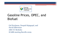 Gasoline Prices, OPEC and Biofuel David Zilberman
