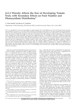 fw2.2 Directly Affects the Size of Developing