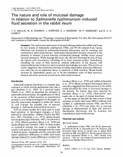 The nature and role of mucosal damage in relation to Salmonella
