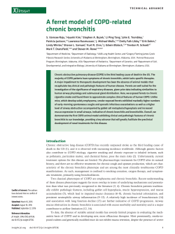 A ferret model of COPD-related chronic bronchitis