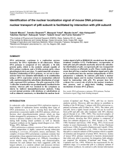 Identification of the nuclear localization signal of mouse DNA primase