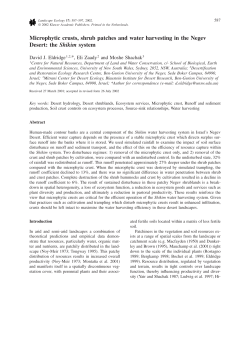 Microphytic crusts, shrub patches and water harvesting in the Negev