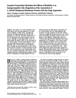 Guanine Nucleotides Modulate the Effects of