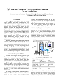 Spray and Combustion Visualization of Two