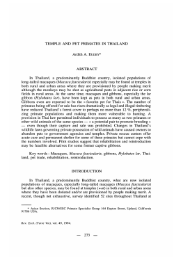 TEMPLE AND PET PRIMATES IN THAILAND Ardith A. EUDEY