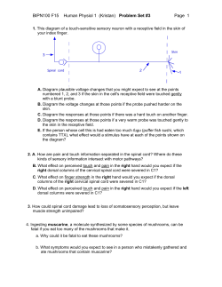 BIPN100 F15 Human Physiol 1 (Kristan) Problem Set #3 Page 1