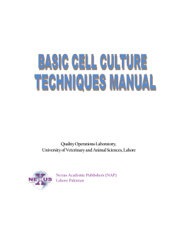 CHAPTER 1 Introduction of Cell Culture