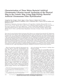 Characterization of Three Maize Bacterial