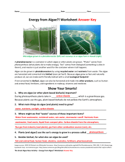 Energy from Algae?! Worksheet Answer Key