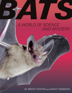 a world of science and mystery - The University of Chicago Press