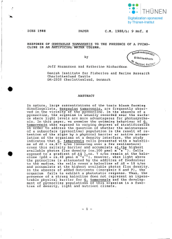 lCES 1988 PAPER CM 1988/L