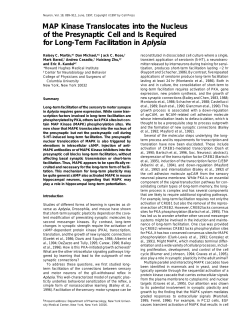 MAP Kinase Translocates into the Nucleus of the Presynaptic Cell