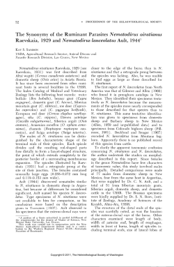 The Synonymy of the Ruminant Parasites Nematodirus