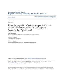 Pseudotetraclipeoides tetraodon, new genus and new species of
