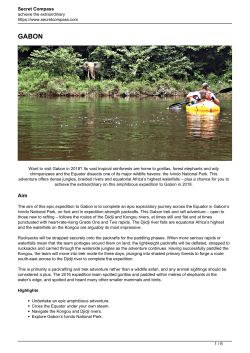 page as PDF
