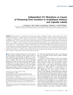 Independent FLC Mutations as Causes of Flowering