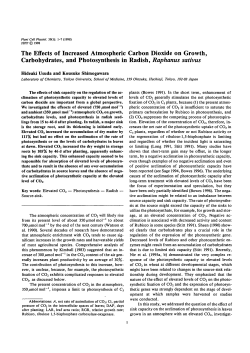 The Effects of Increased Atmospheric Carbon Dioxide on Growth
