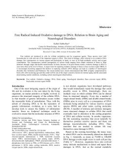 Free Radical Induced Oxidative damage to DNA: Relation to Brain