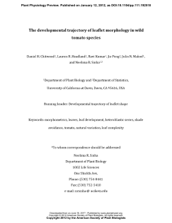 The developmental trajectory of leaflet