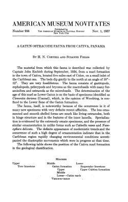 american museum novitates - AMNH Library Digital Repository